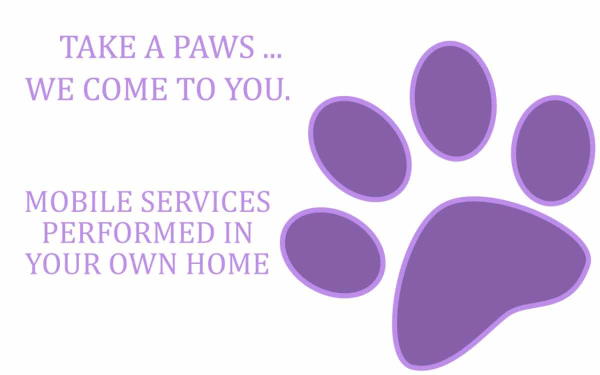canine fertility services